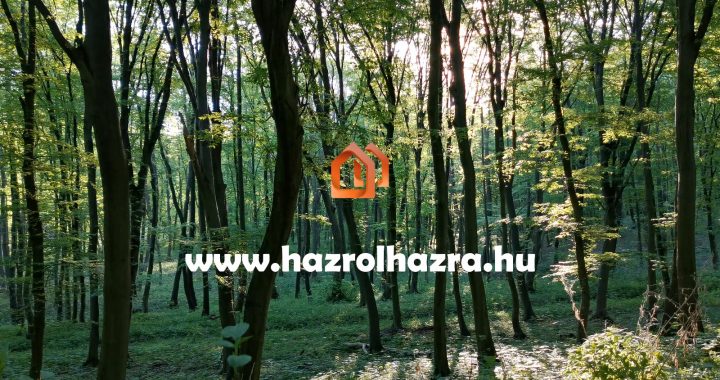 természet hangjai